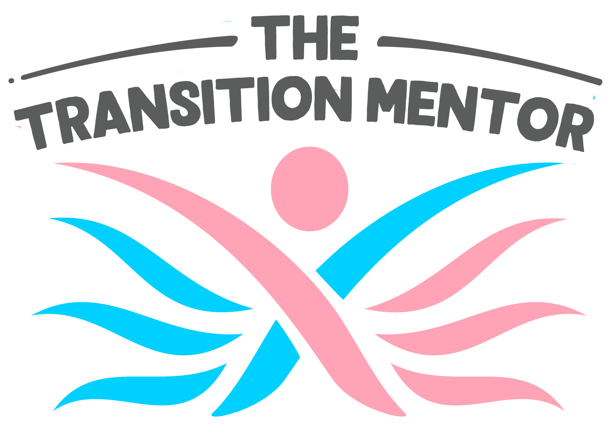 The Transition Mentor