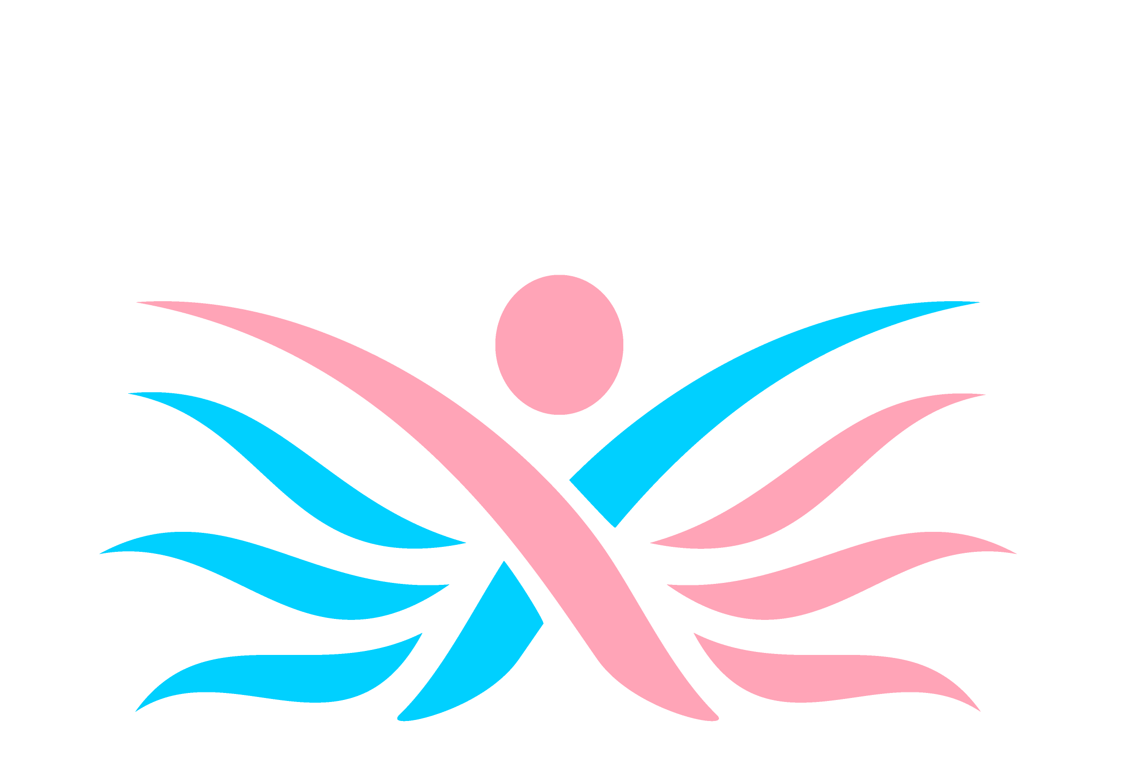 The Transition Mentor